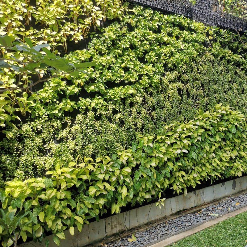 green-wall